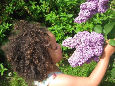 The Annual Rochester Lilac Festival Welcomes Spring May 6-22